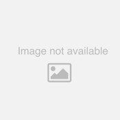 Remo Tambourine Jingle 100 Pack - Thick